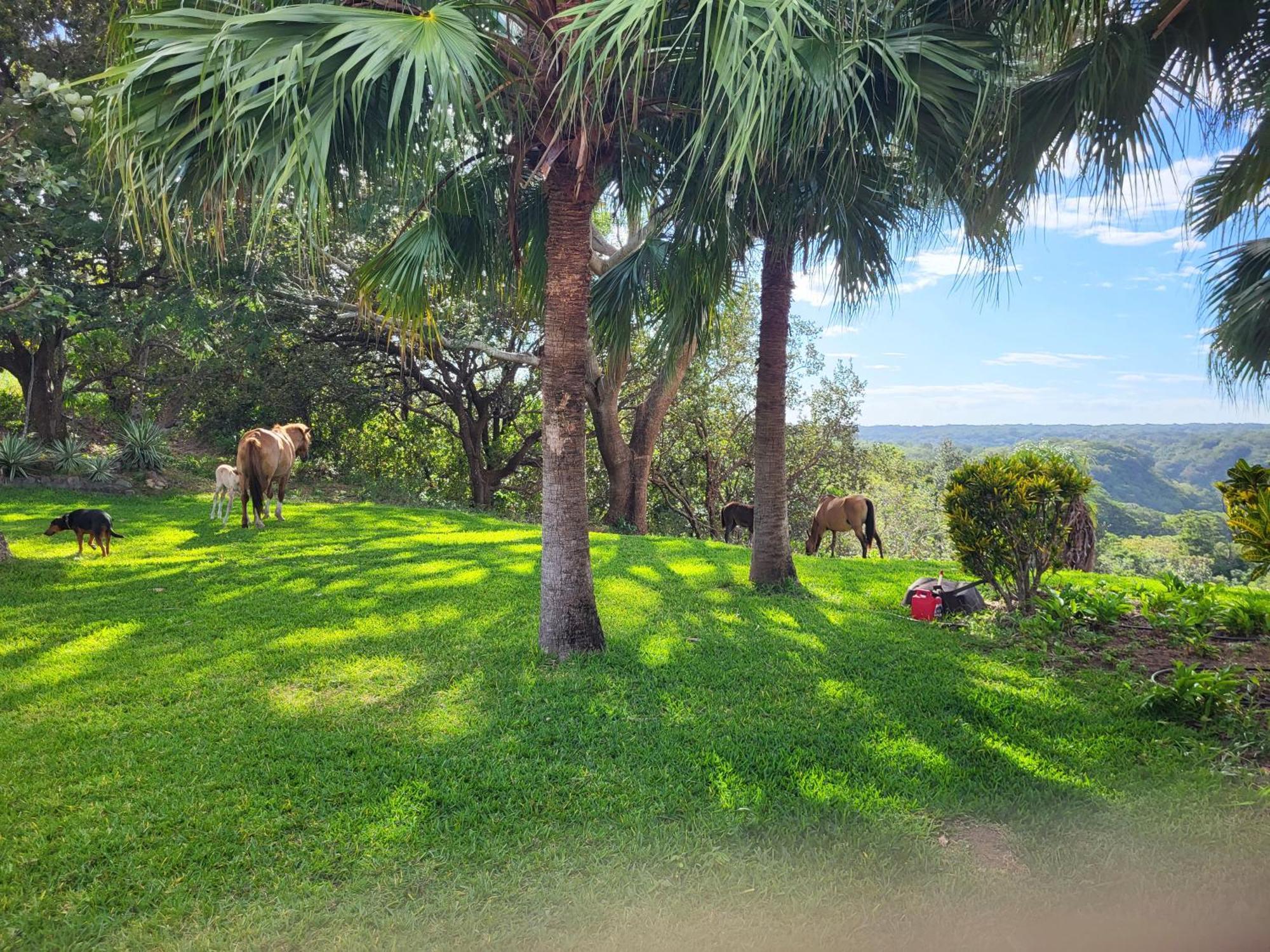 Hacienda En Los Volcanes Guayabo  Exterior foto